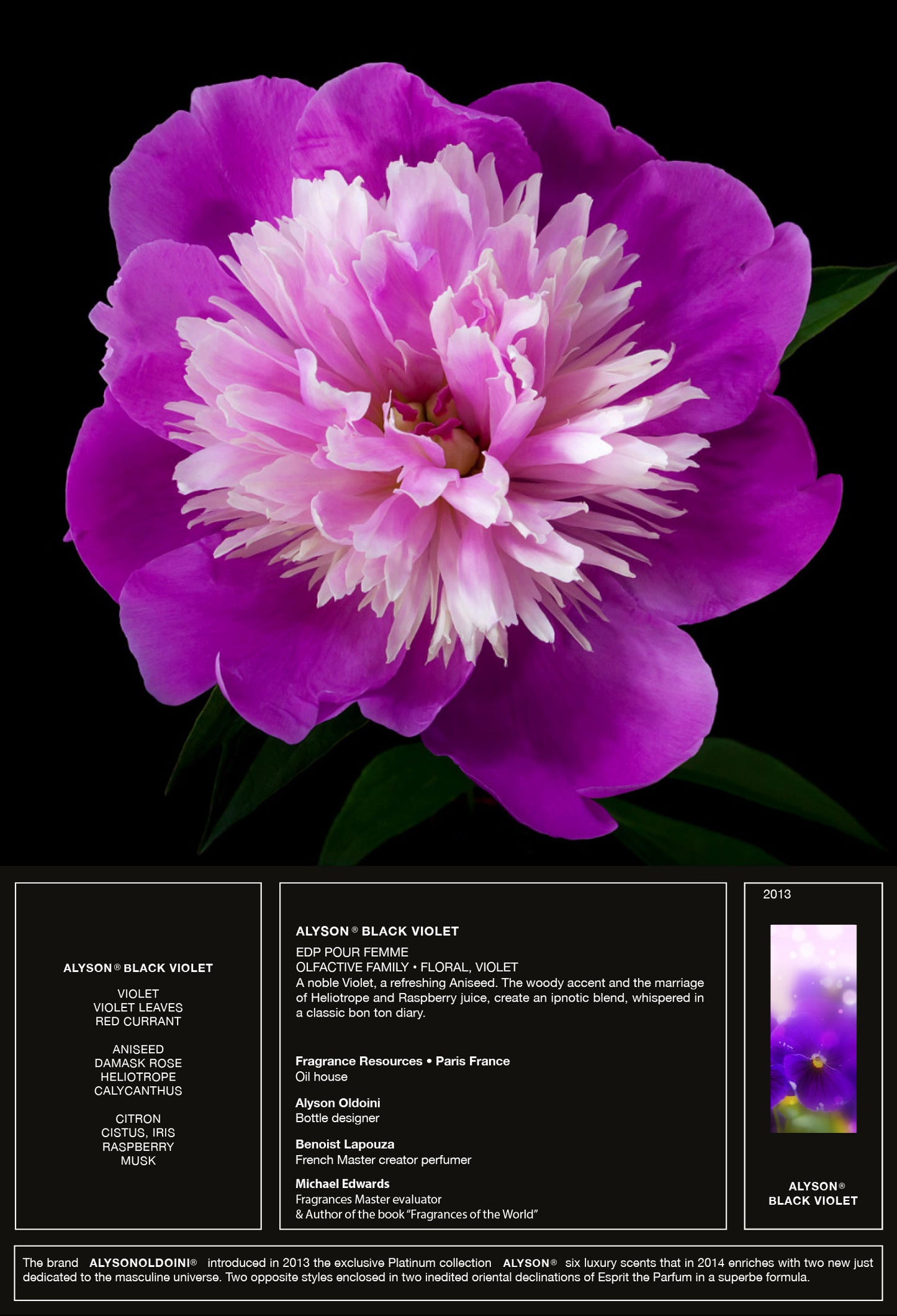 Alyson Black Violet EDP 100ml Perfume Pour Femme